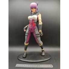 Ninja Gaiden Game action figure