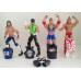 WWE 6 inch wrestling Sports action figure